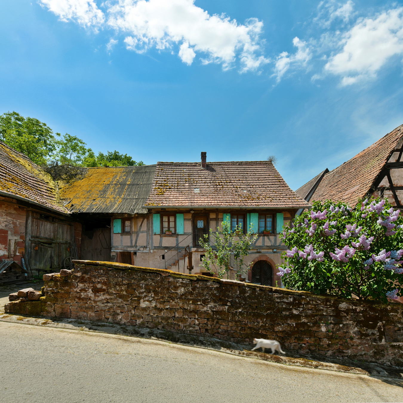 Eco gite la petite ferme - Main Image