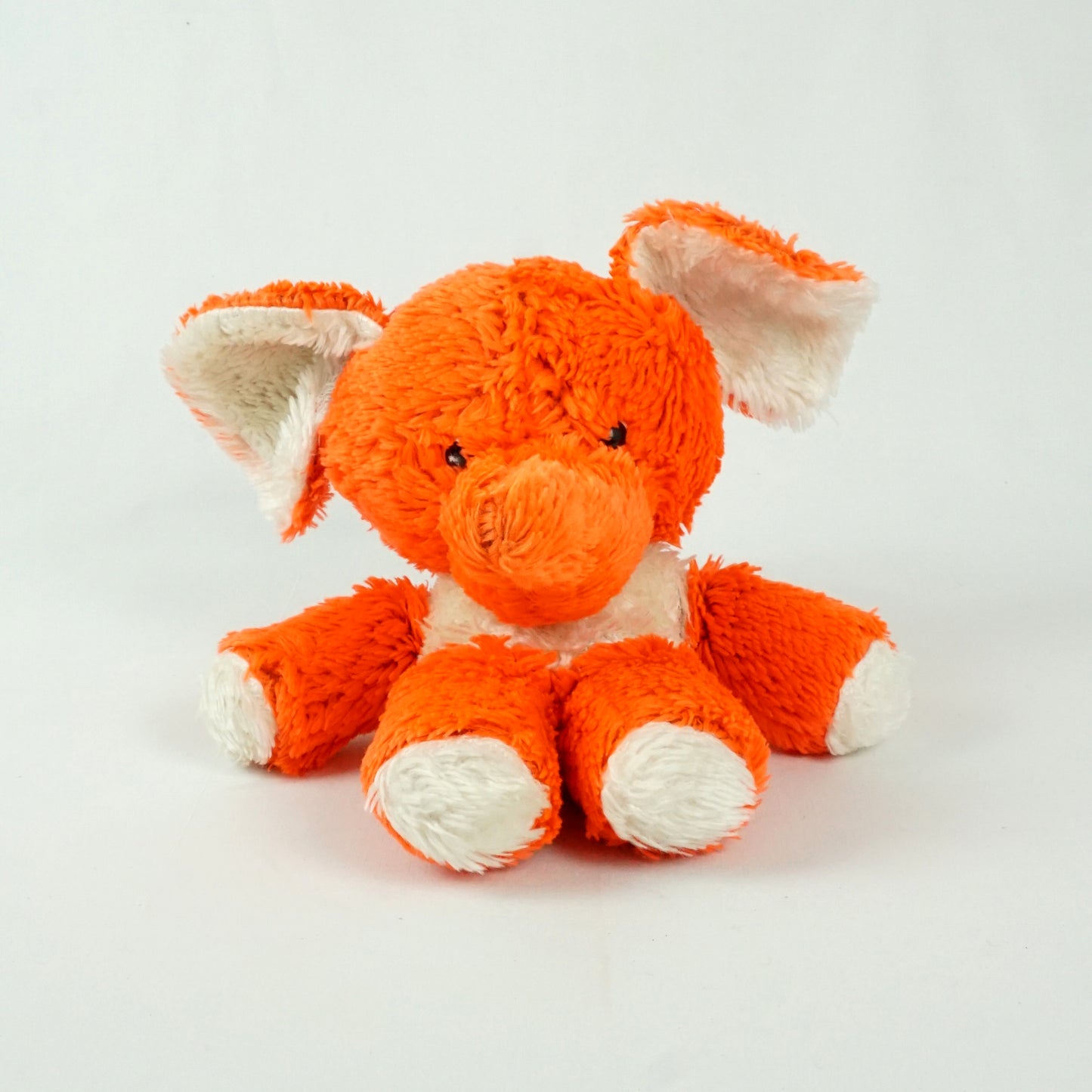 Dumbo orange