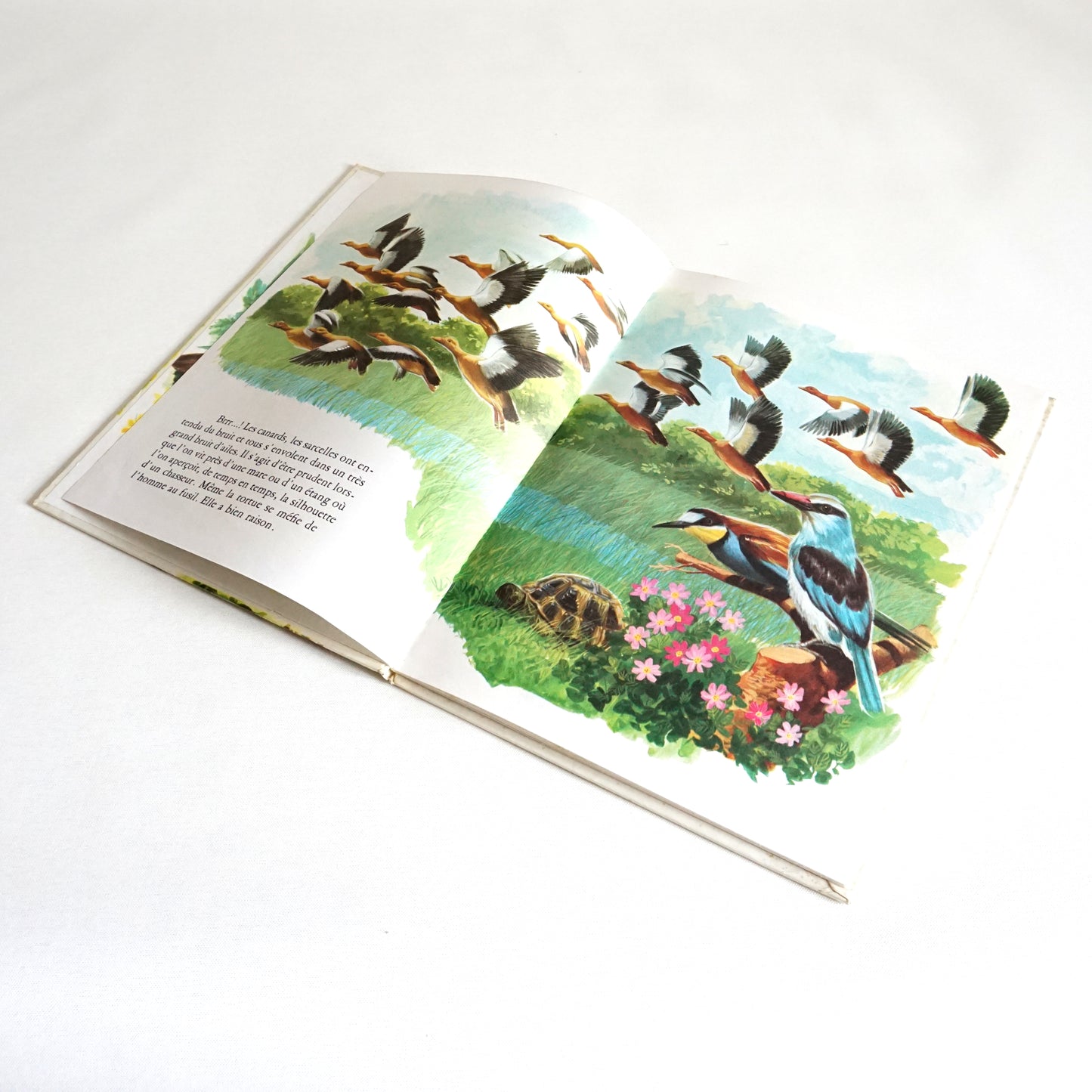Les animaux des champs