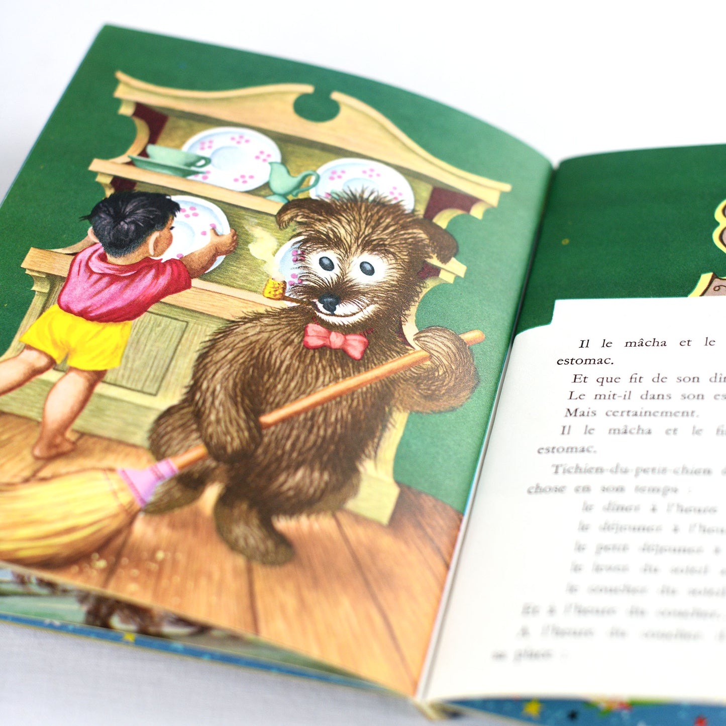 Mister dog book
