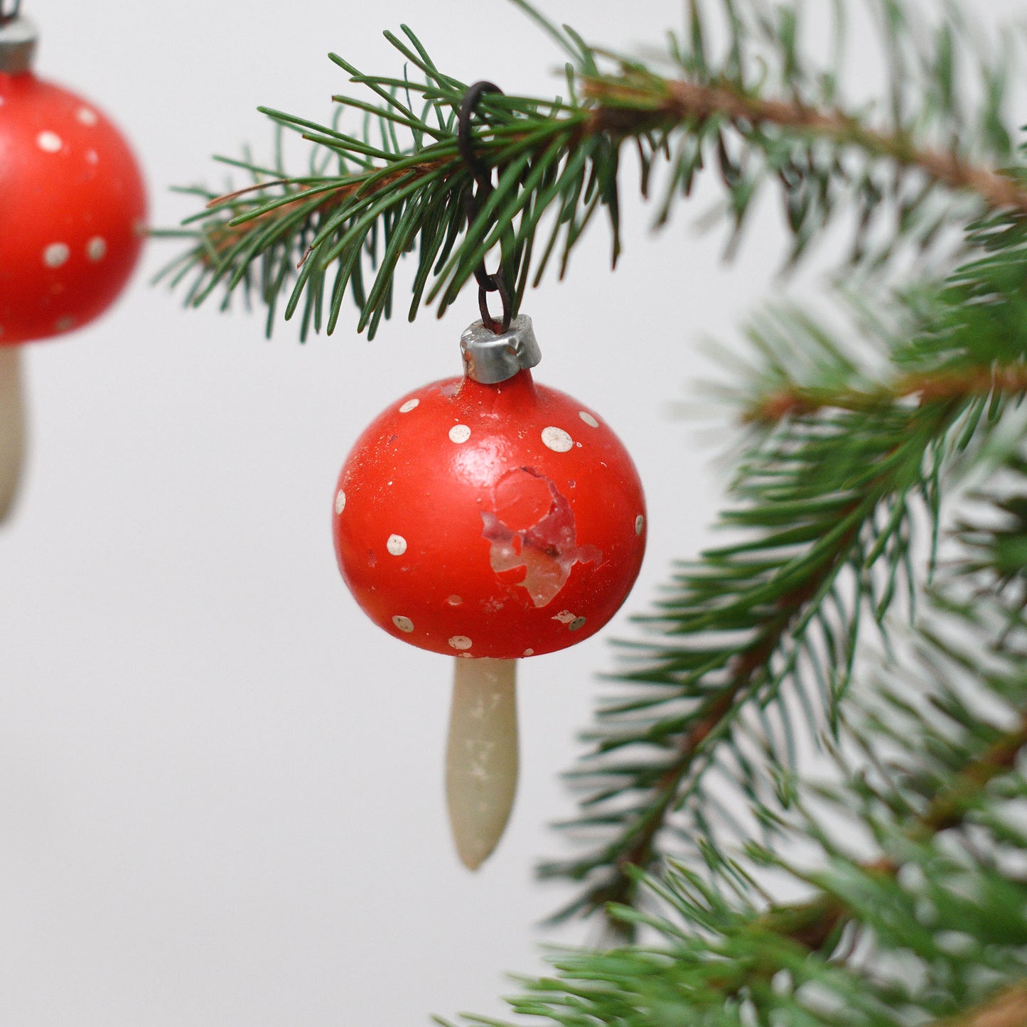 4 champignons en verre