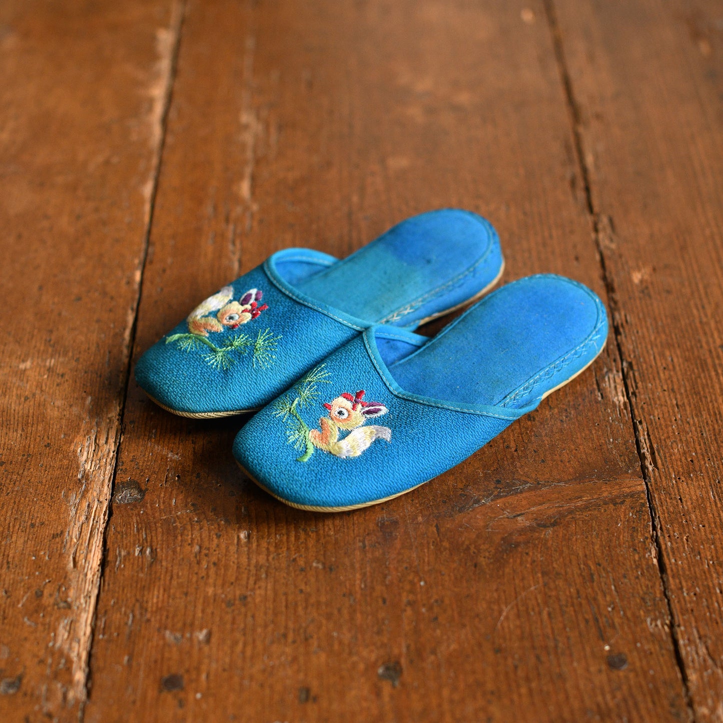 Blue squirrel skates