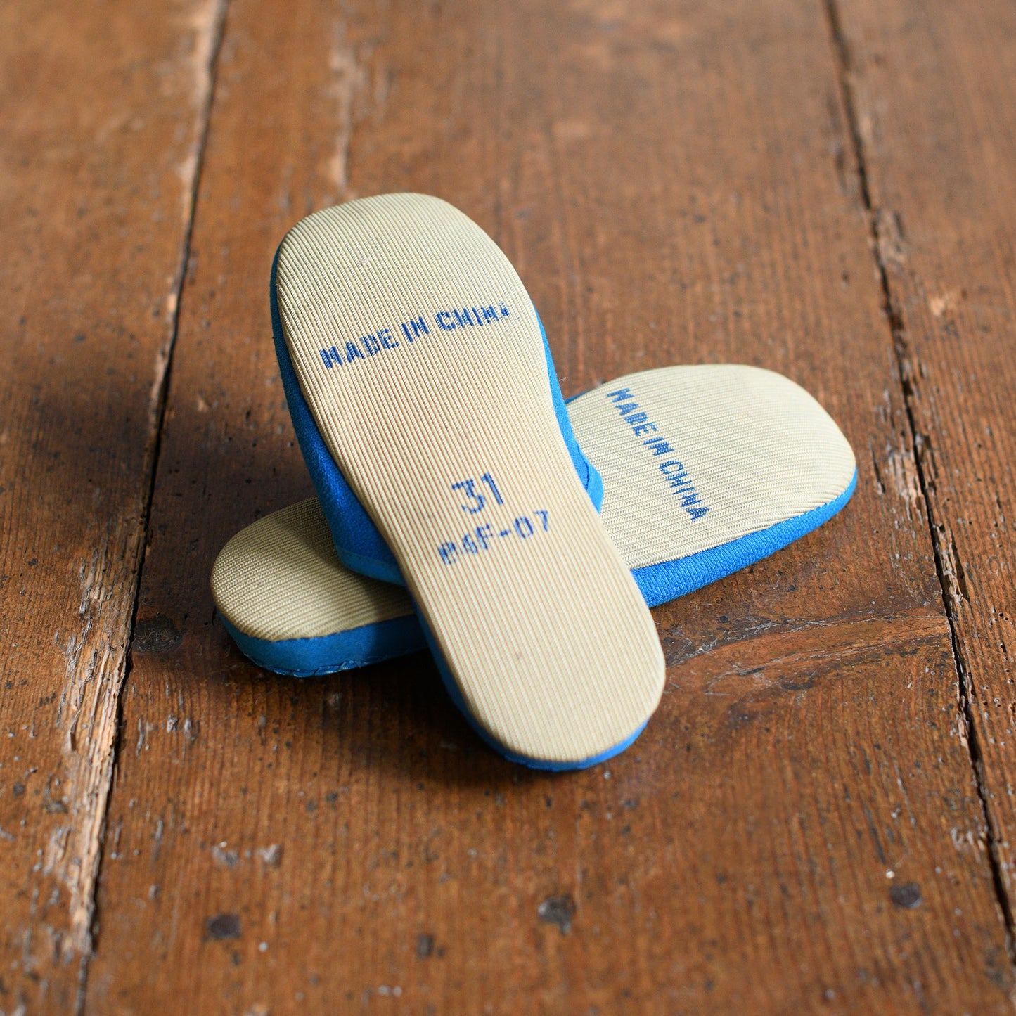 Blue squirrel skates