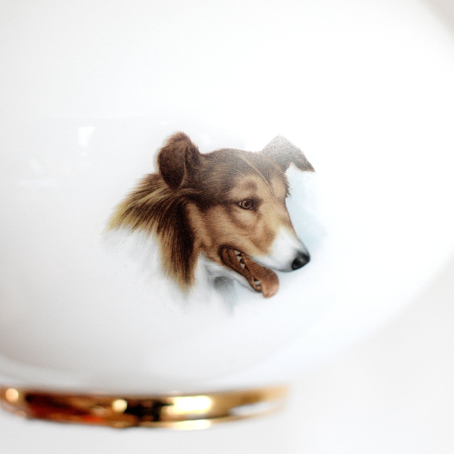 dog lamp