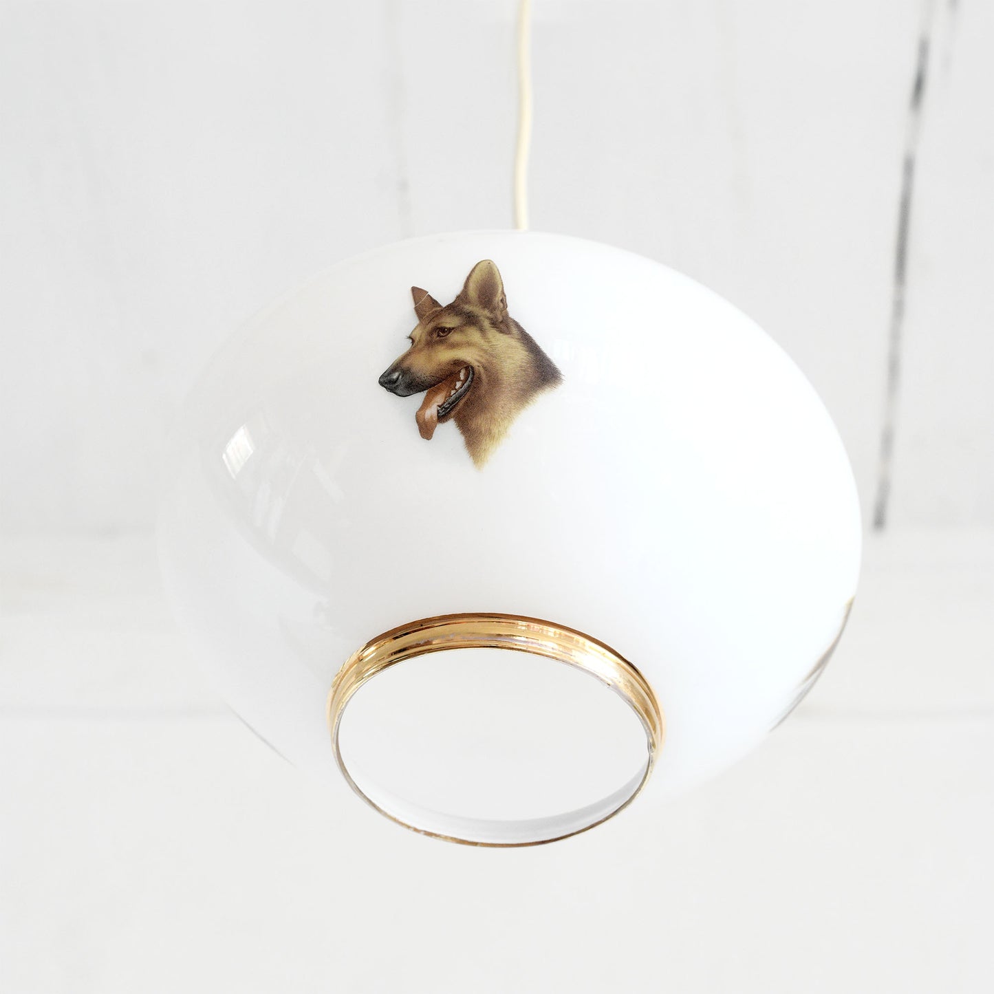 dog lamp