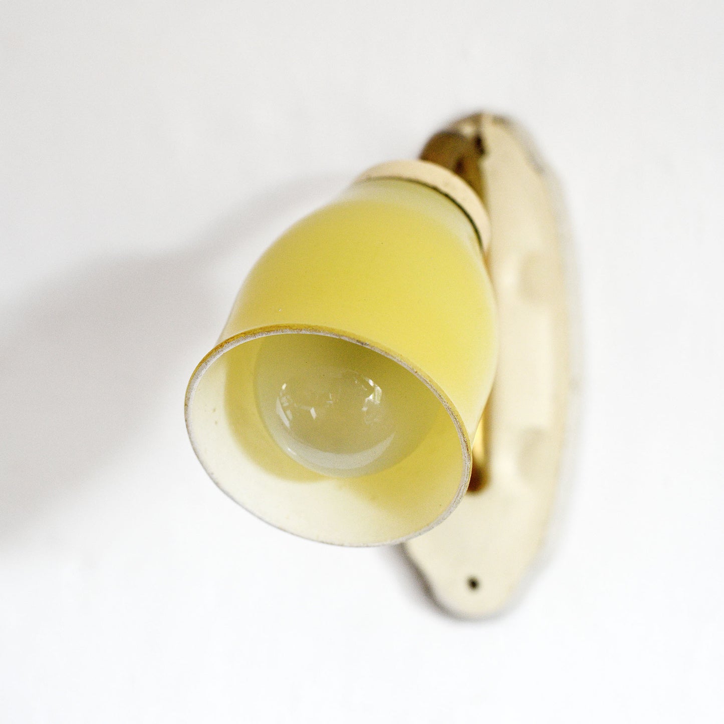 Daffodil wall lamp