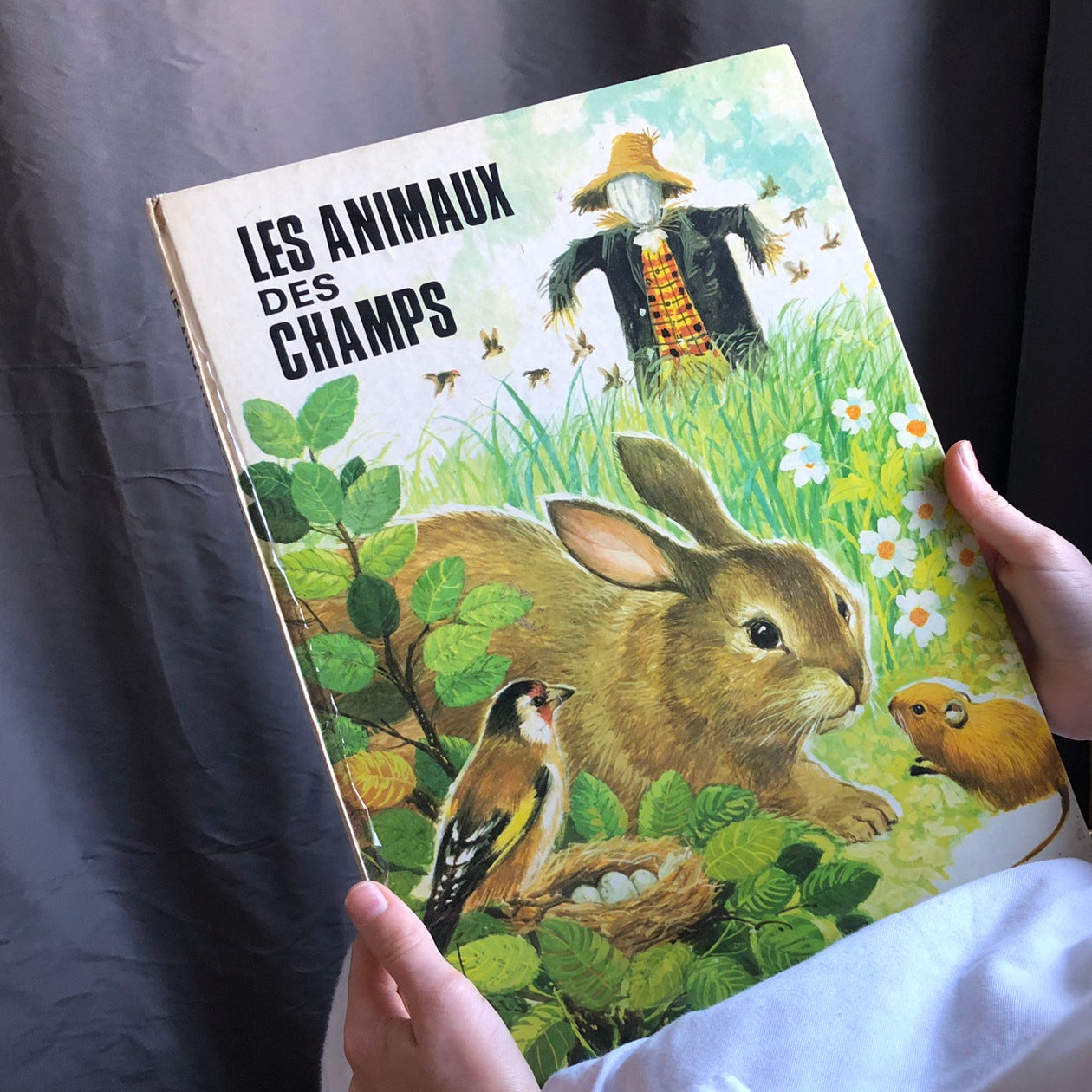 Les animaux des champs