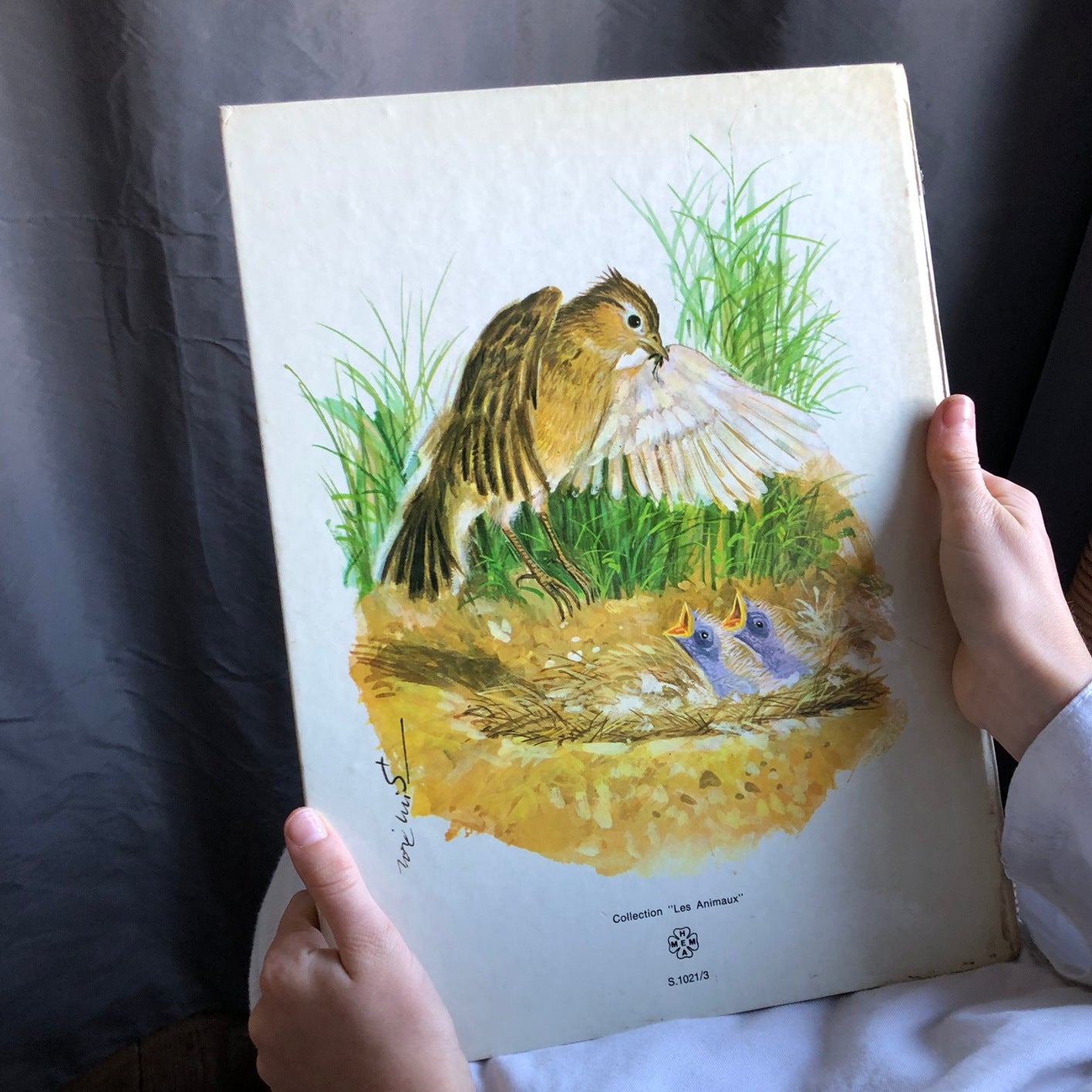 Les animaux des champs