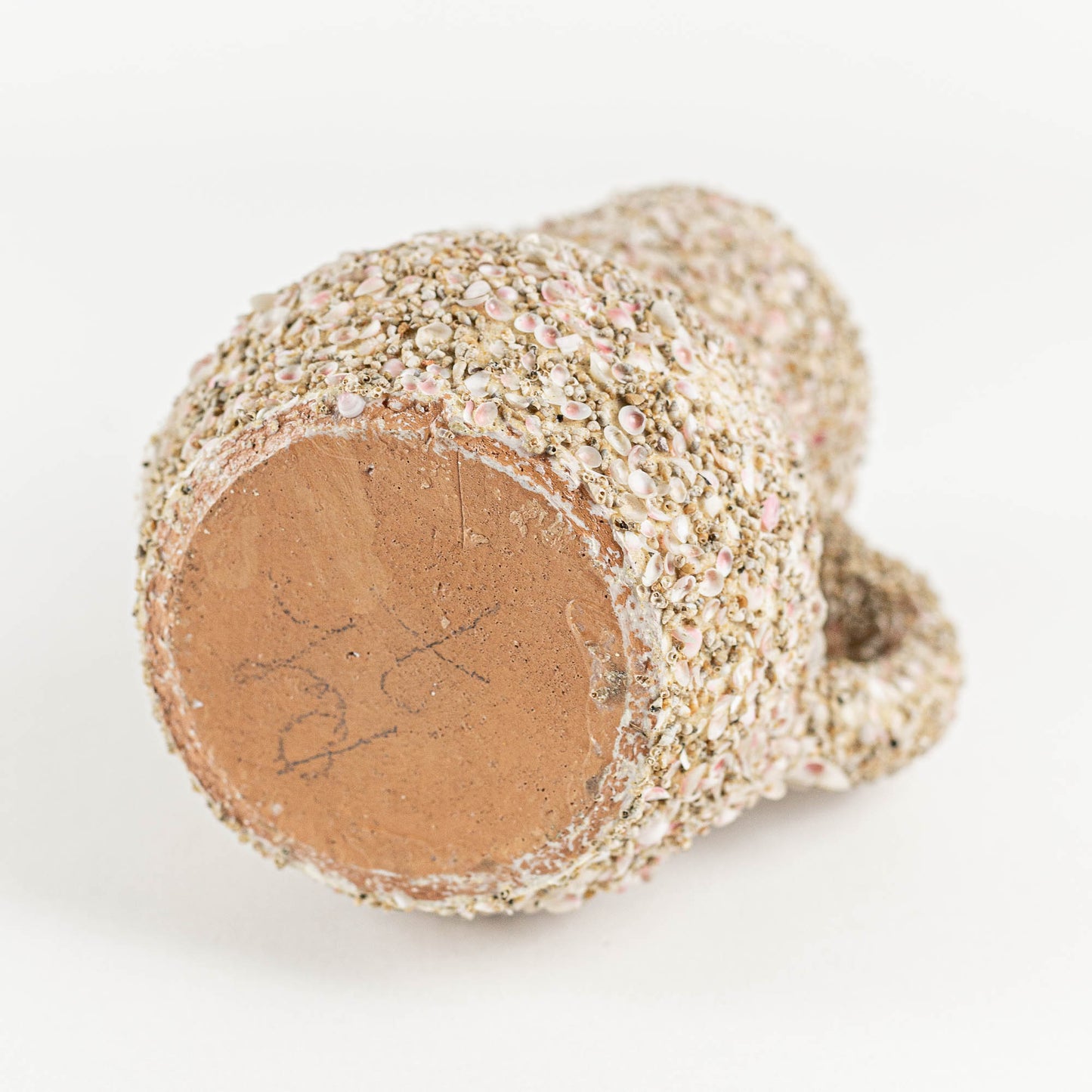 Cruche coquillages