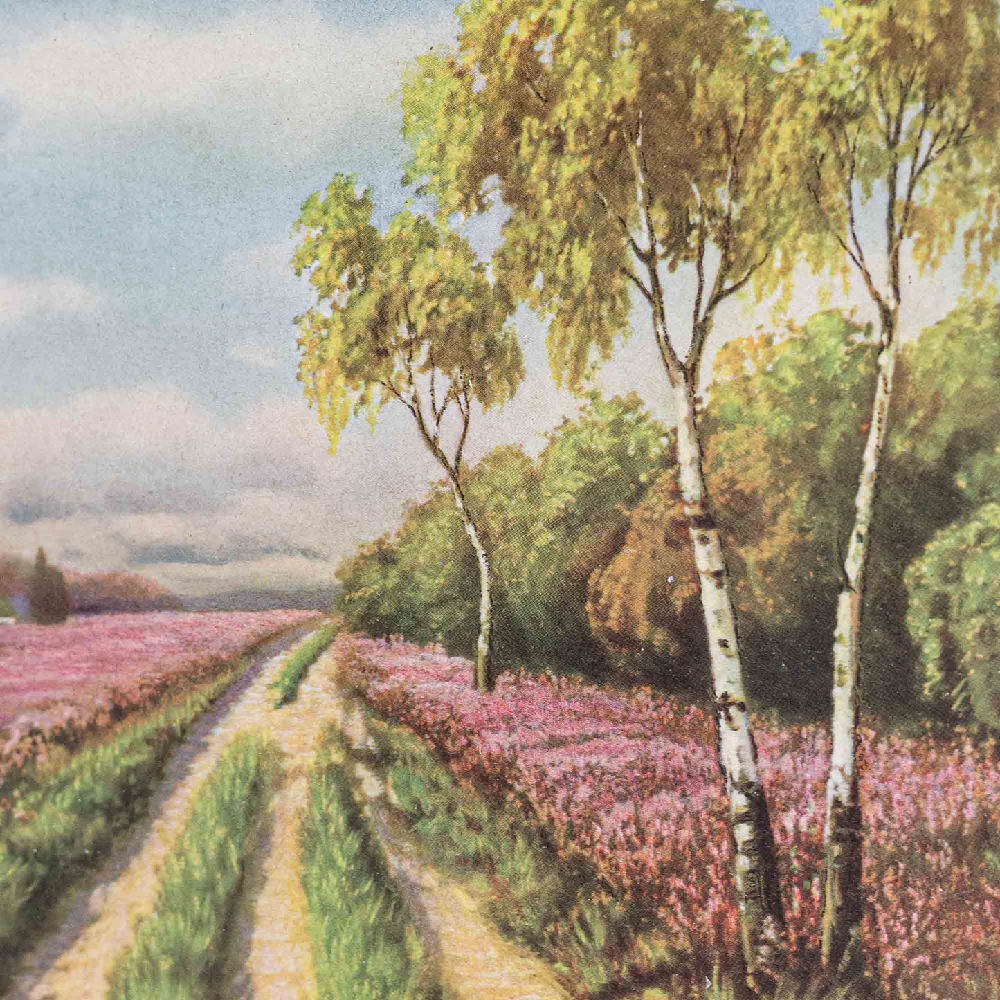 Paysage au chemin