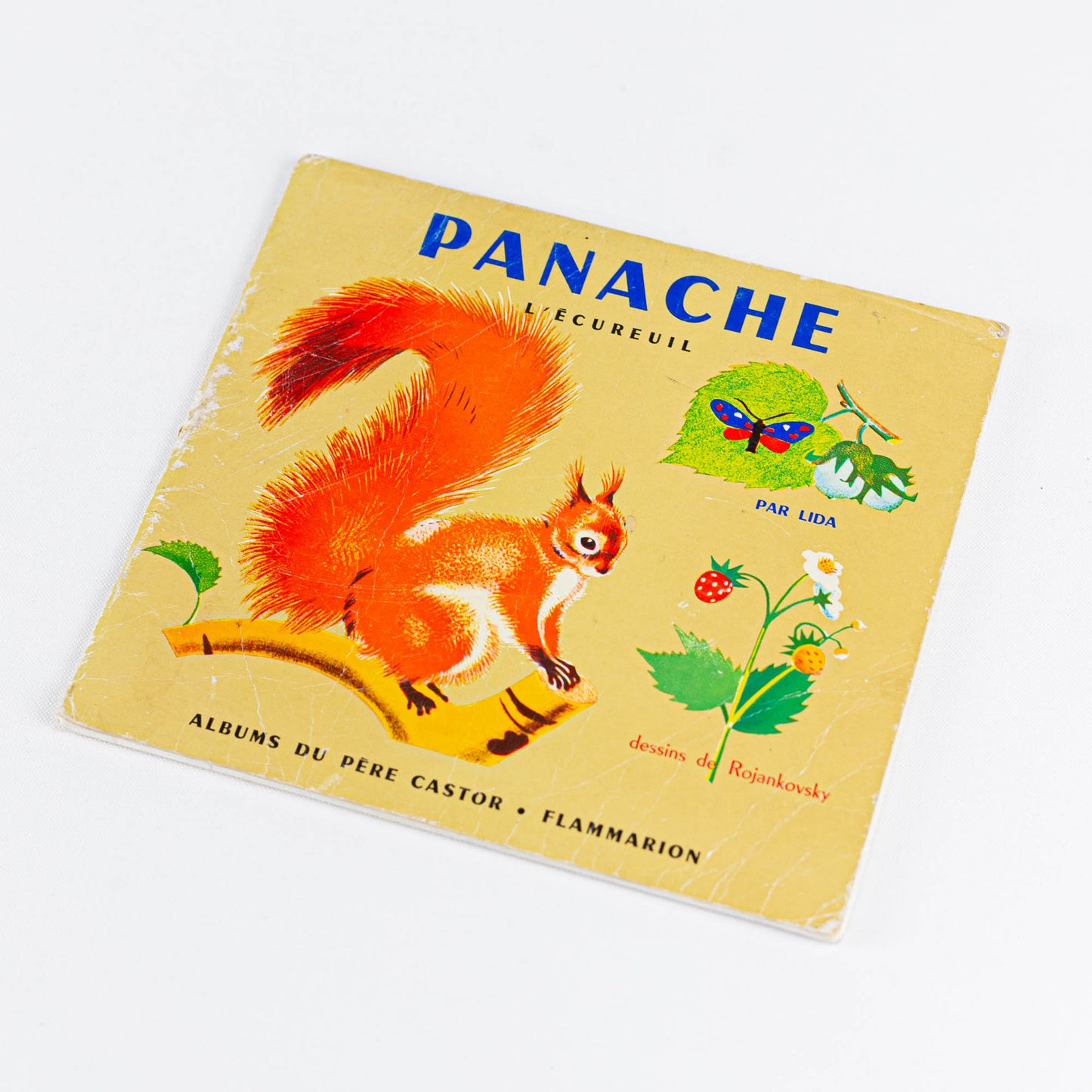 Livre Panache l'écureuil