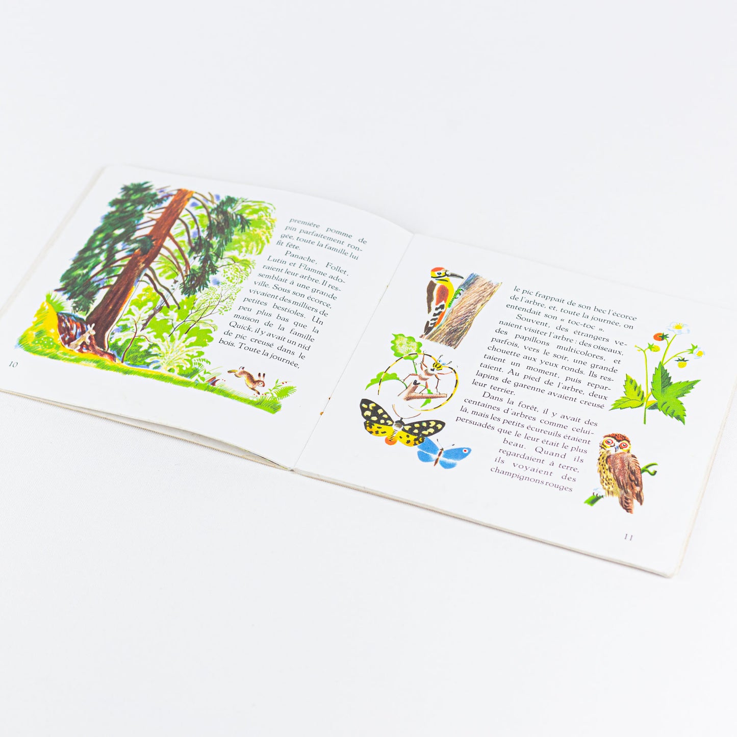 Livre Panache l'écureuil